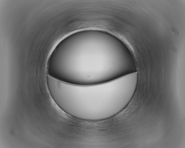X0000110681532200906121024