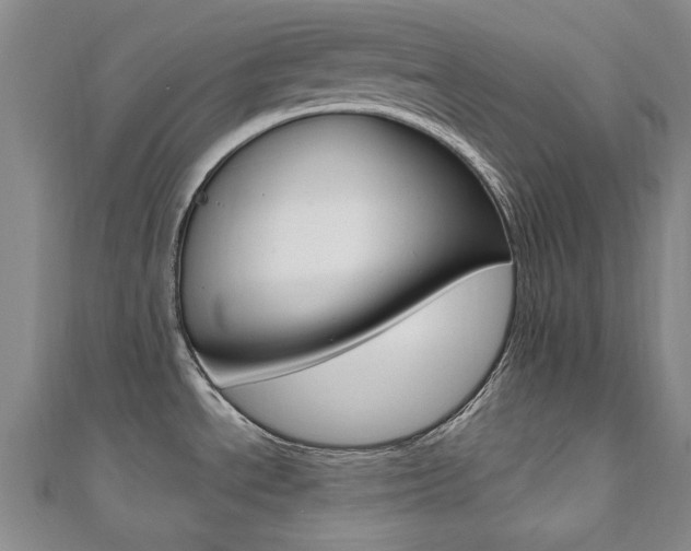 X0000110681534200906121024