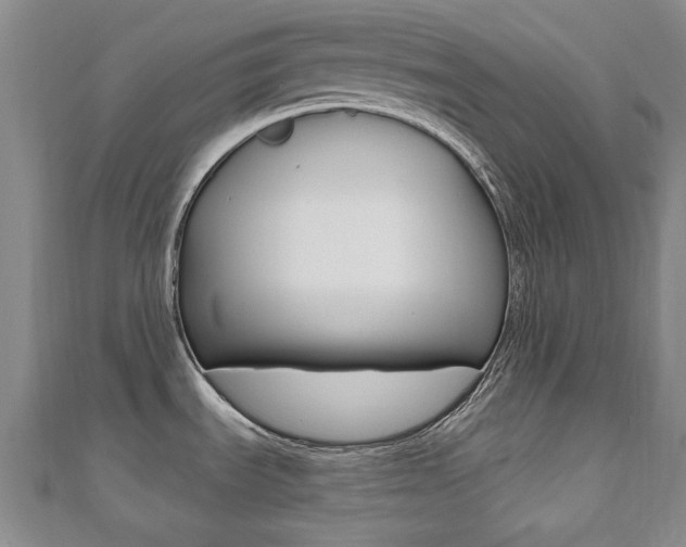 X0000110681535200906121024