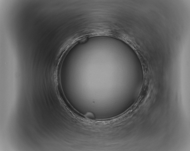 X0000110680002200906121215