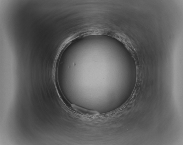 X0000110680003200906121215