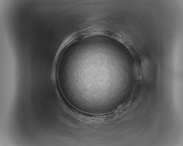 X0000110680004200906121215