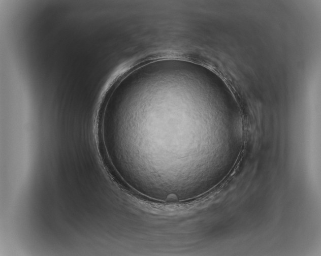 X0000110680006200906121215