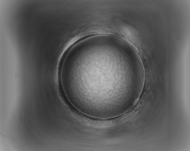 X0000110680008200906121215