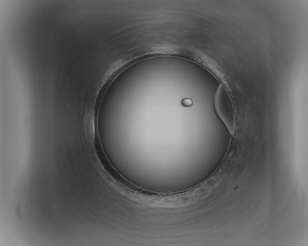 X0000110680011200906121215