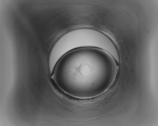X0000110680013200906121215