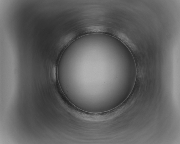 X0000110680014200906121215