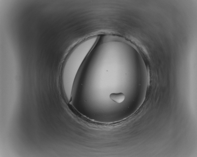 X0000110680015200906121215