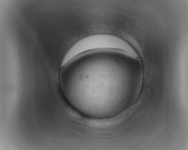 X0000110680017200906121215