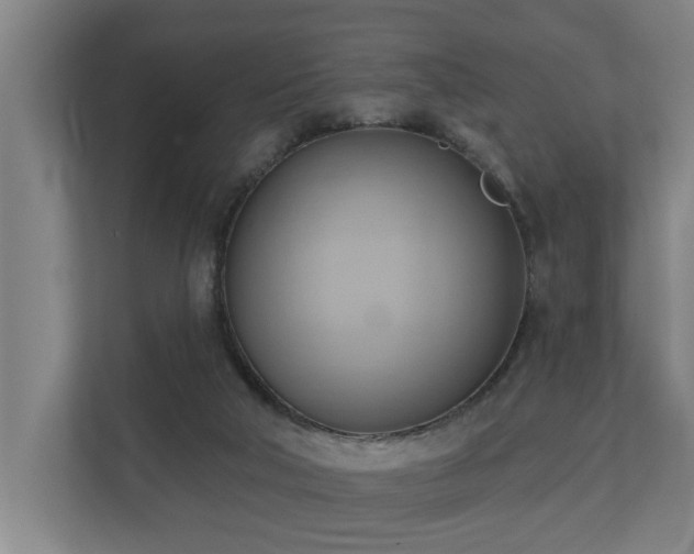 X0000110680018200906121215