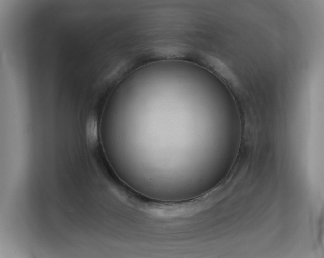 X0000110680021200906121215