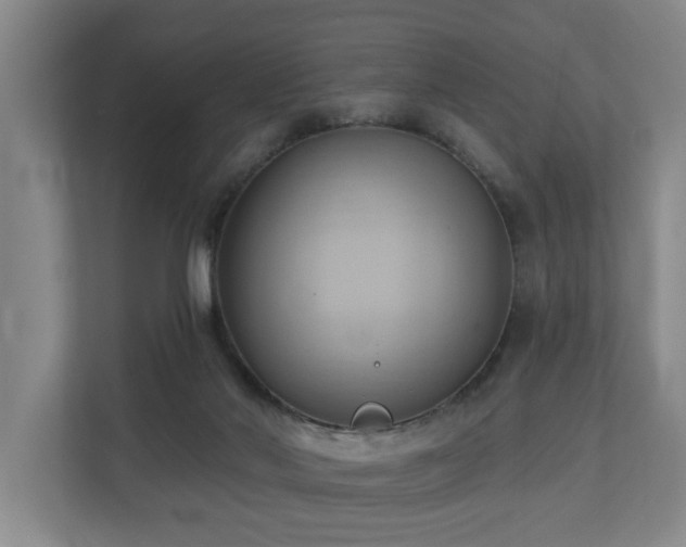 X0000110680022200906121215