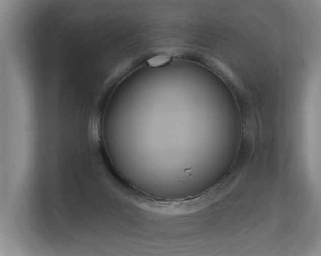 X0000110680023200906121215