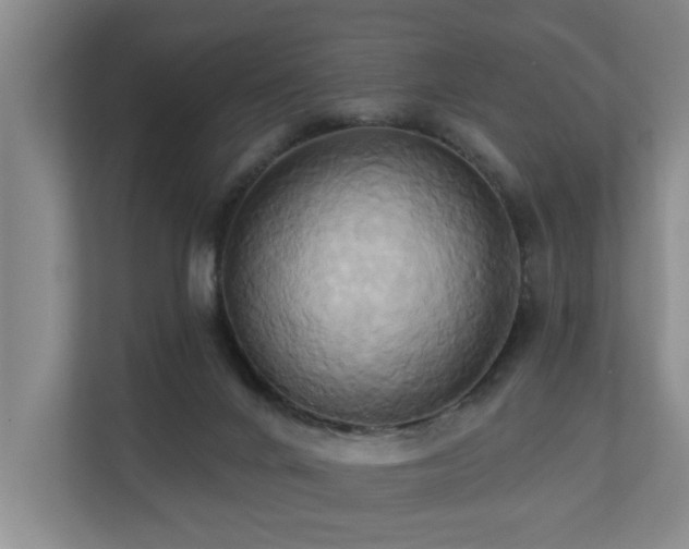 X0000110680024200906121215