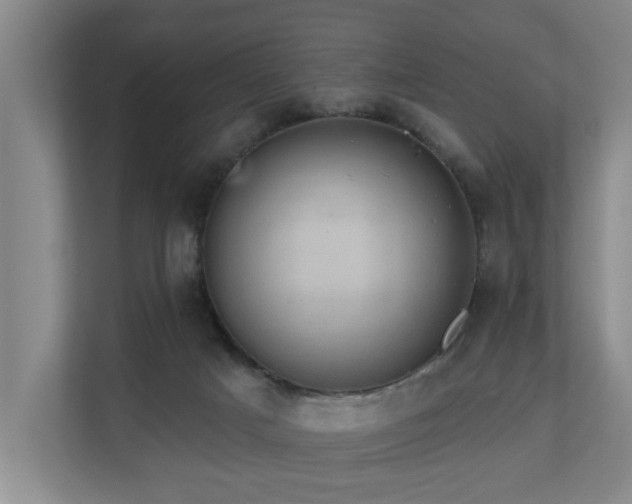 X0000110680025200906121215