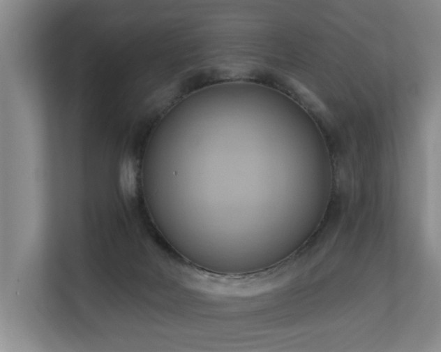 X0000110680026200906121215