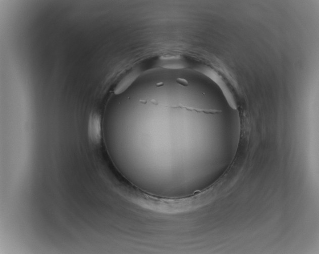 X0000110680027200906121215