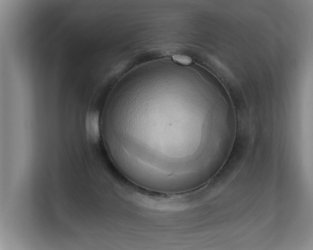 X0000110680028200906121215