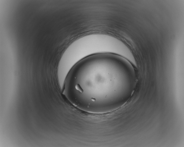 X0000110680029200906121215