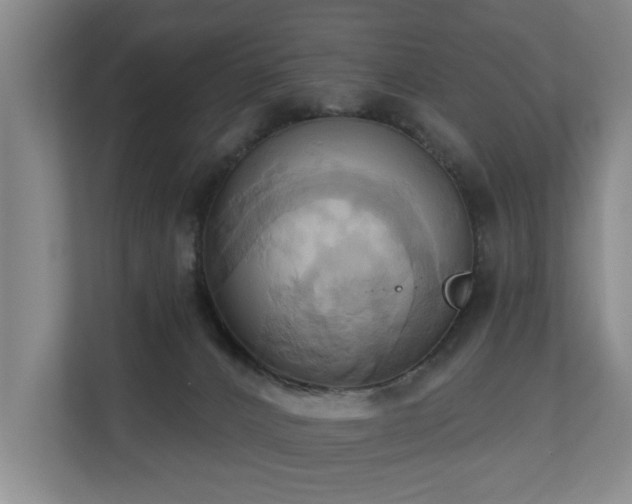X0000110680032200906121215