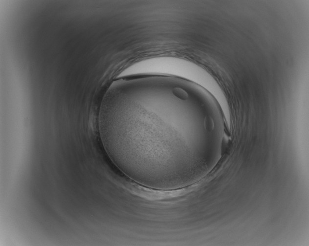 X0000110680035200906121215
