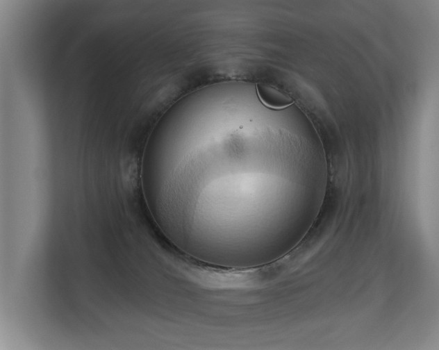 X0000110680036200906121215