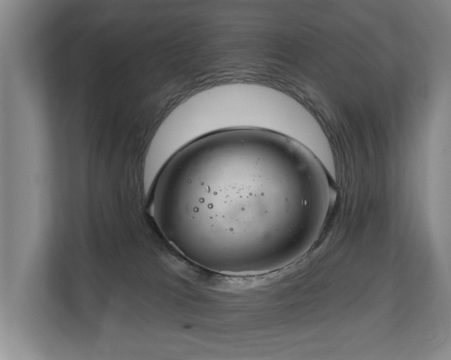 X0000110680037200906121215