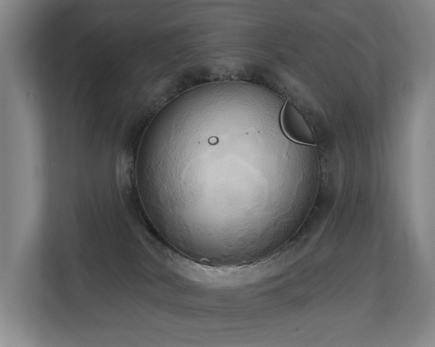 X0000110680038200906121215