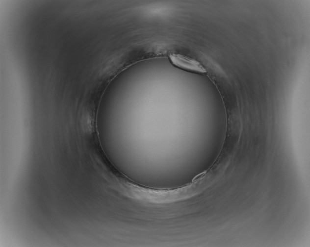 X0000110680039200906121215