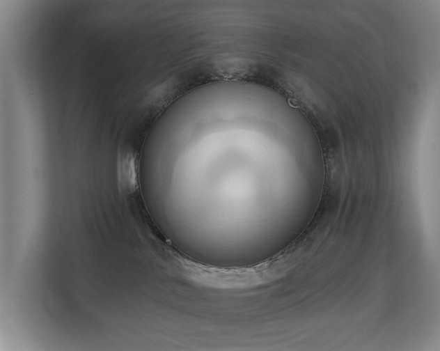 X0000110680042200906121215