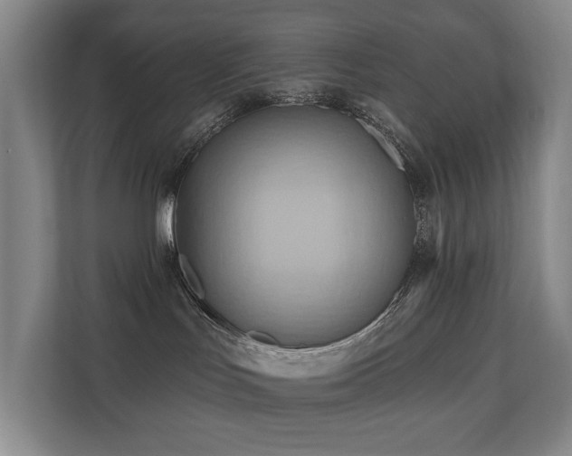 X0000110680047200906121214