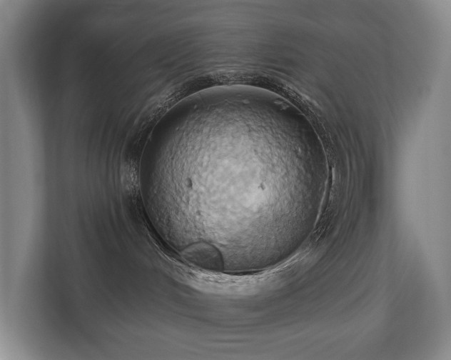 X0000110680048200906121214