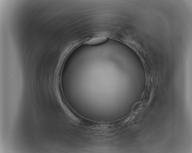 X0000110680049200906121214