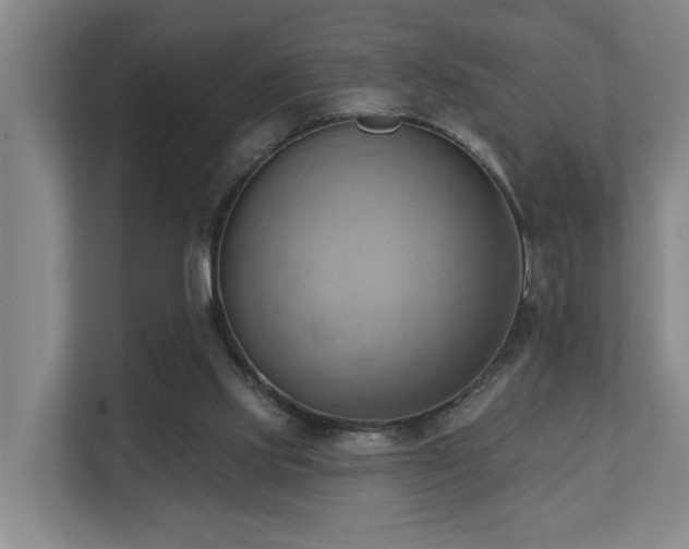X0000110680061200906121214