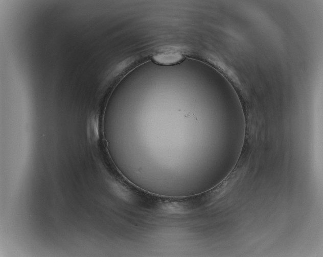 X0000110680062200906121214