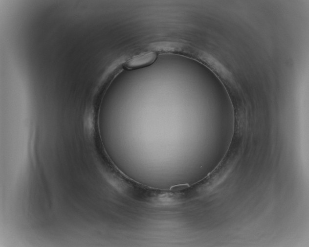 X0000110680064200906121214