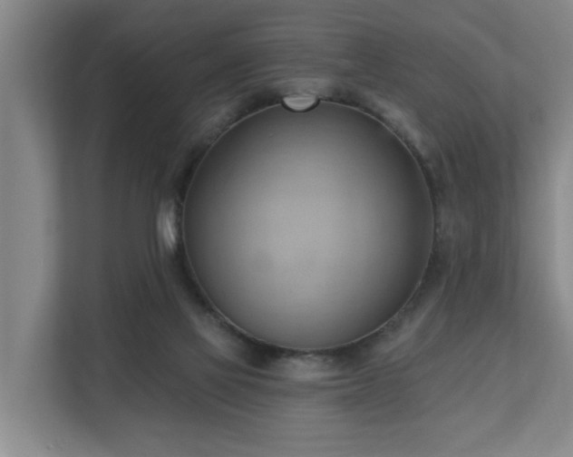 X0000110680069200906121214