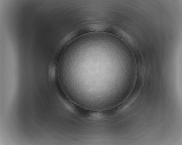 X0000110680071200906121214