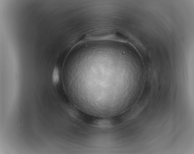 X0000110680075200906121214