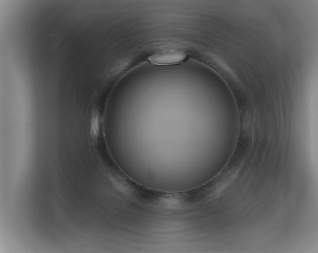 X0000110680076200906121214