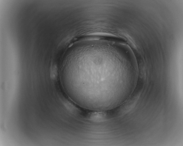 X0000110680077200906121214