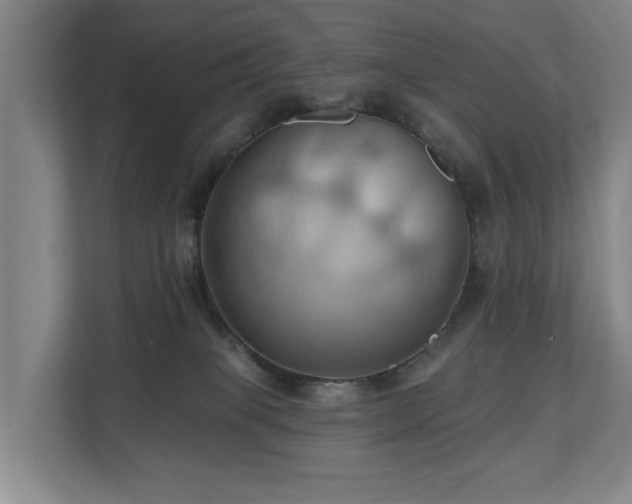 X0000110680085200906121214