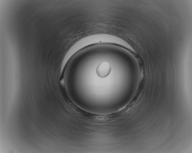 X0000110680088200906121214