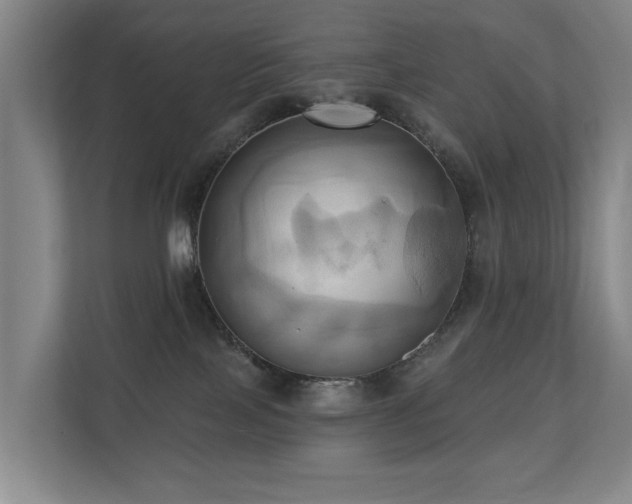 X0000110680089200906121214