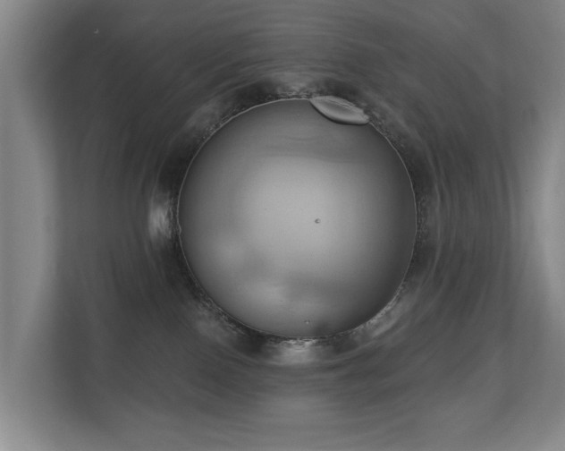 X0000110680090200906121214