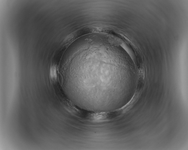 X0000110680094200906121214
