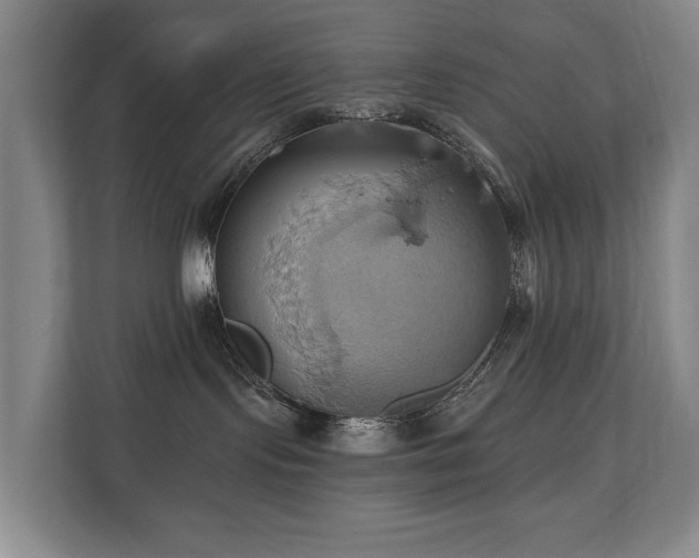 X0000110680095200906121214