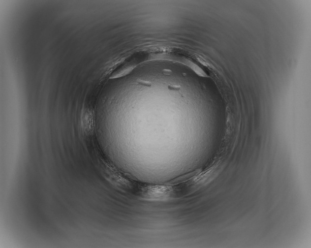 X0000110680096200906121214