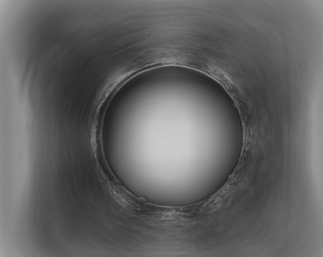 X0000110680098200906121214