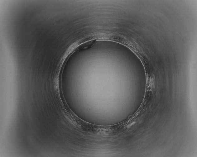 X0000110680099200906121214